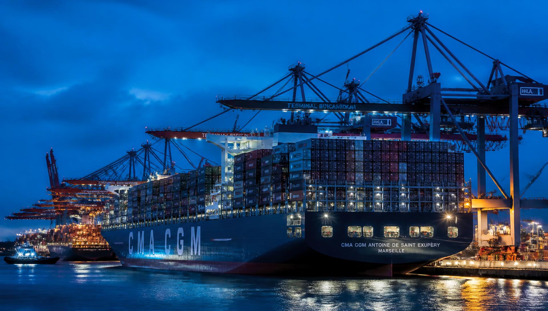 International trade port with containers and gantry cranes